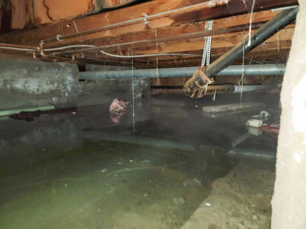 Best 24-hour water damage restoration  in Coleman, MI