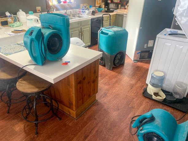 Best Water damage contractors near me  in Coleman, MI