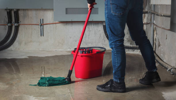Best Water damage restoration near me  in Coleman, MI