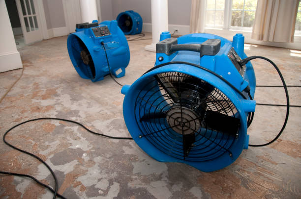 Best Fire Damage Restoration  in Coleman, MI