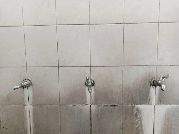 Best Sewage cleanup and water damage restoration  in Coleman, MI