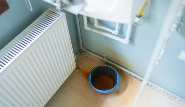 Best Water damage restoration insurance claims  in Coleman, MI